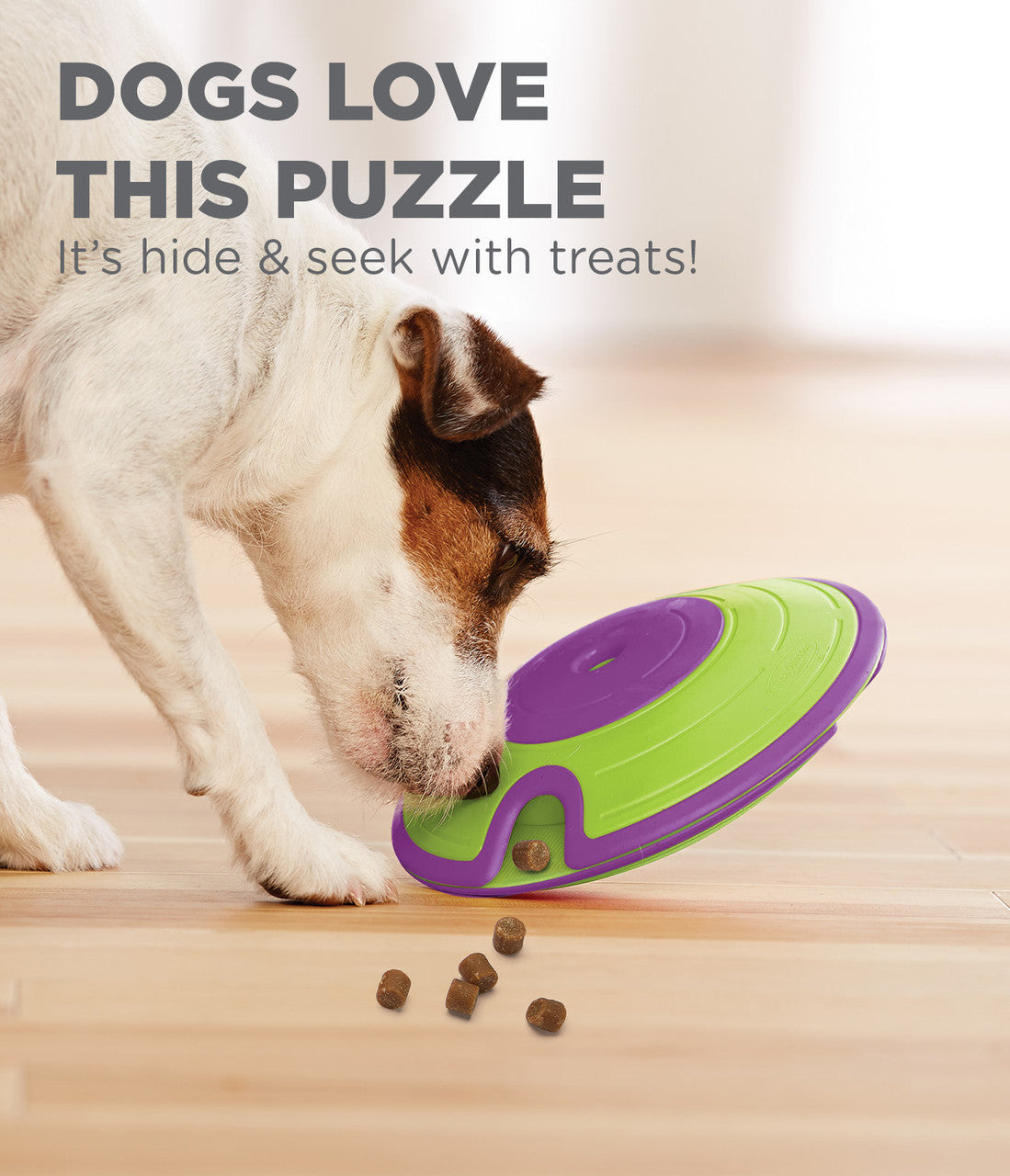Treat Maze Interactive Puzzle Dog Toy, Green