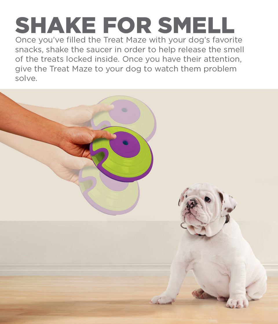 Treat Maze Interactive Puzzle Dog Toy, Green