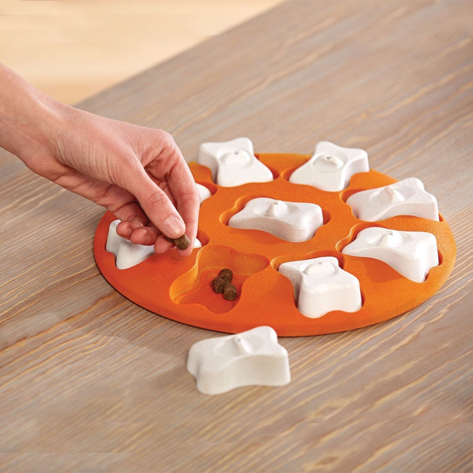Dog Smart Interactive Treat Puzzle Dog Toy, Orange