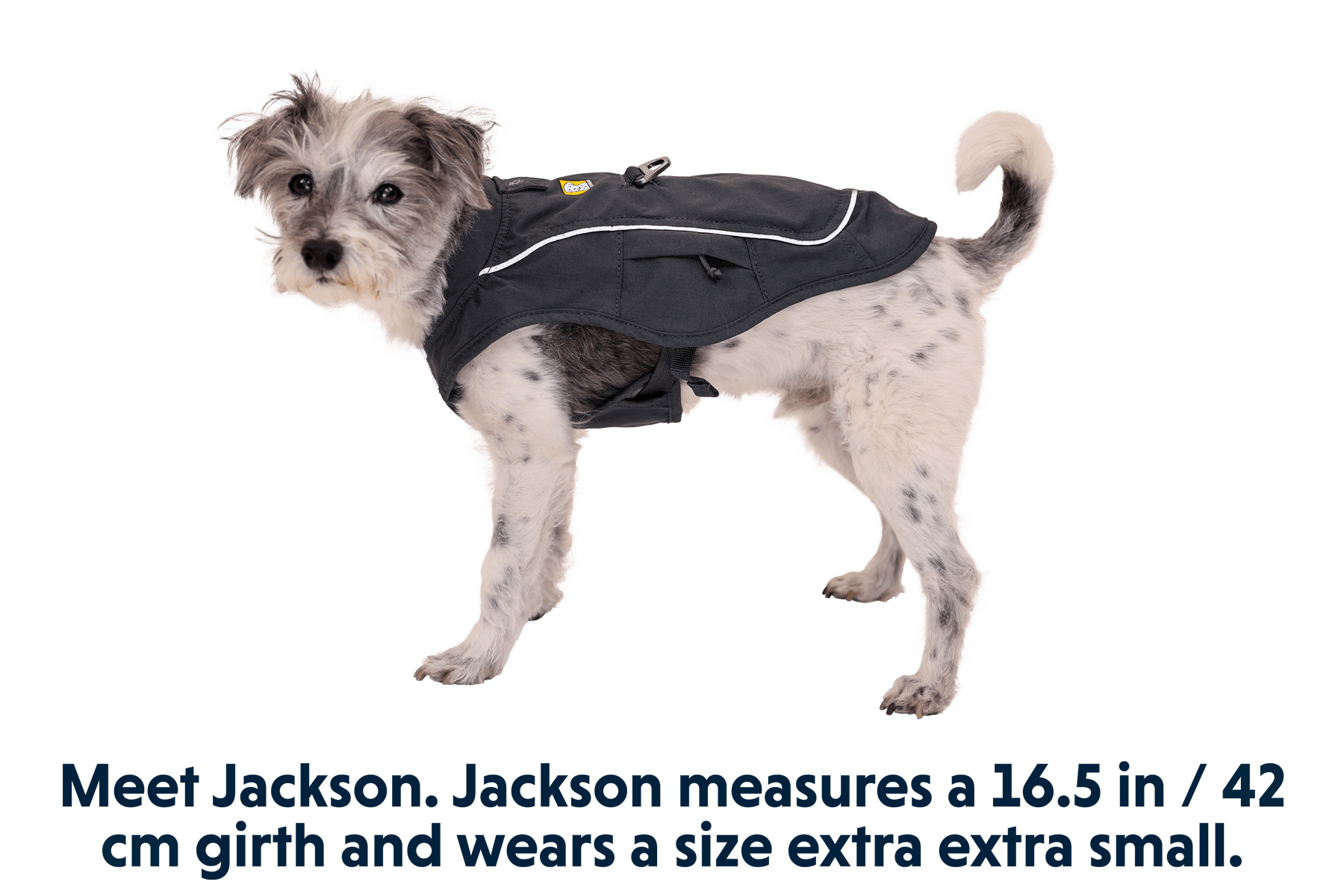 Overcoat Fuse™ Dog Jacket - Eva Pet - Ruff Wear Inc.