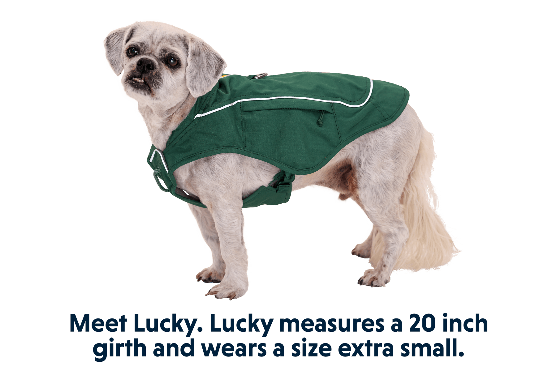 Overcoat Fuse™ Dog Jacket - Eva Pet - Ruff Wear Inc.