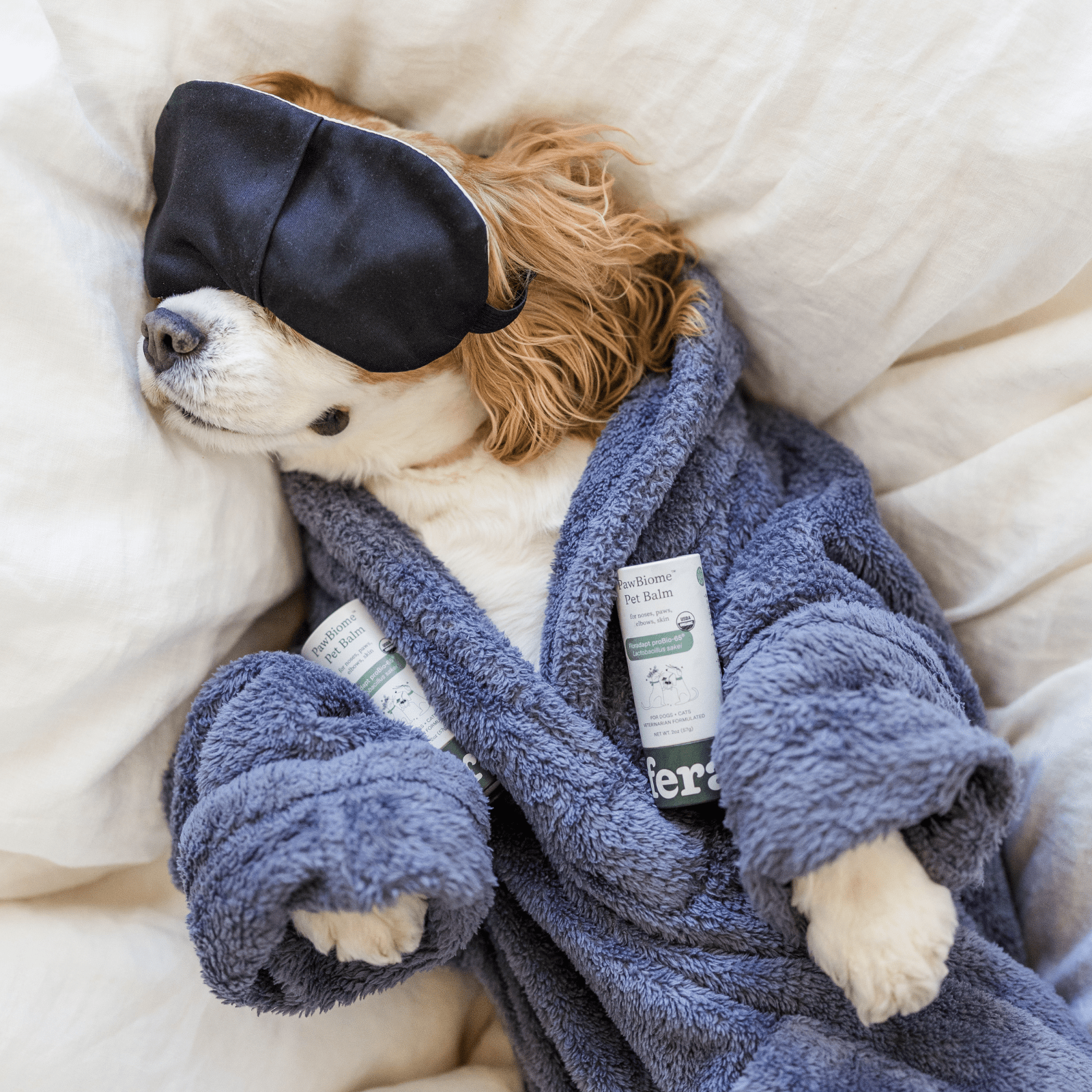 PawBiome® Pet Balm - Eva Pet - Fera Pets