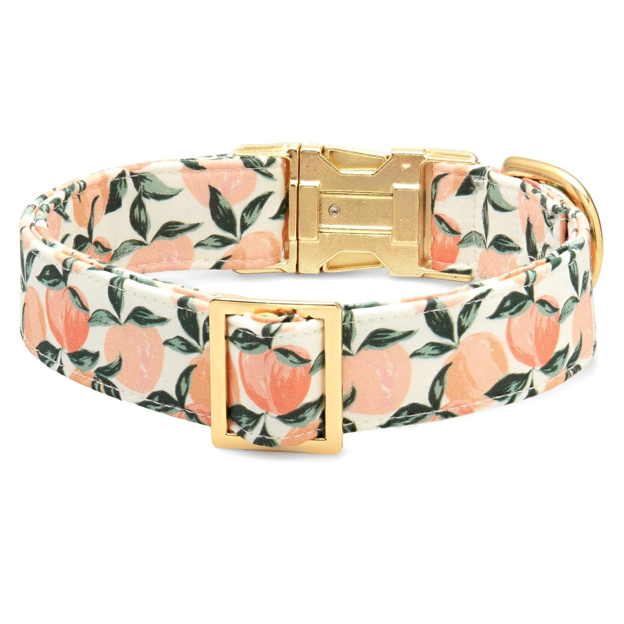 Peaches and Cream Dog Collar - Eva Pet - The Foggy Dog