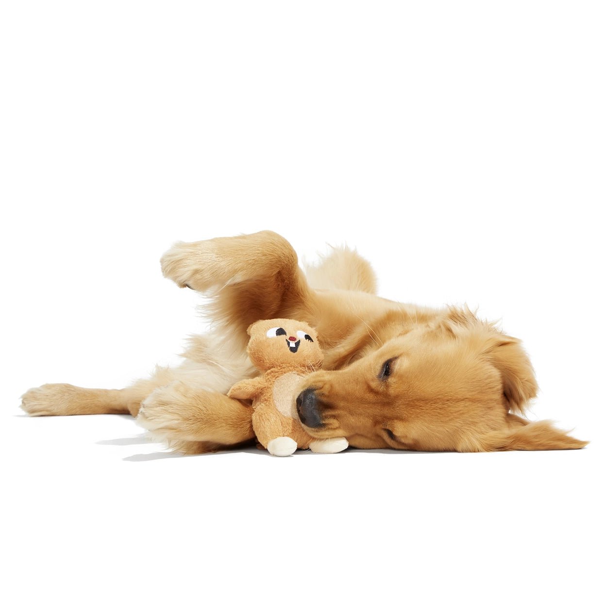 Pearl Squirrel Plush Dog Toy - Eva Pet - BARK