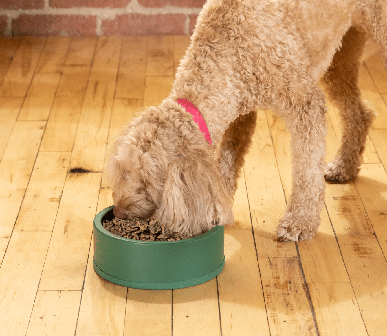 Pollock & Lamb Air Dried Recipe for Dogs - Eva Pet - Open Farm