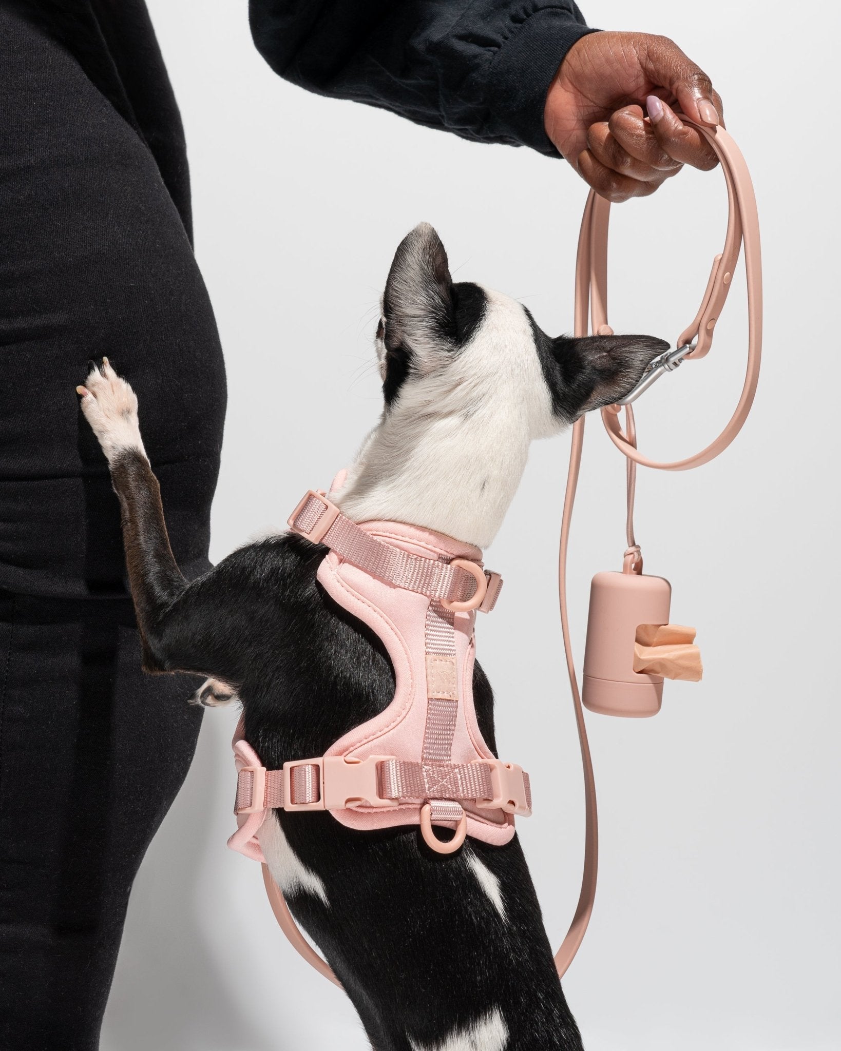 Poop Bag Carrier - Eva Pet - Wild One