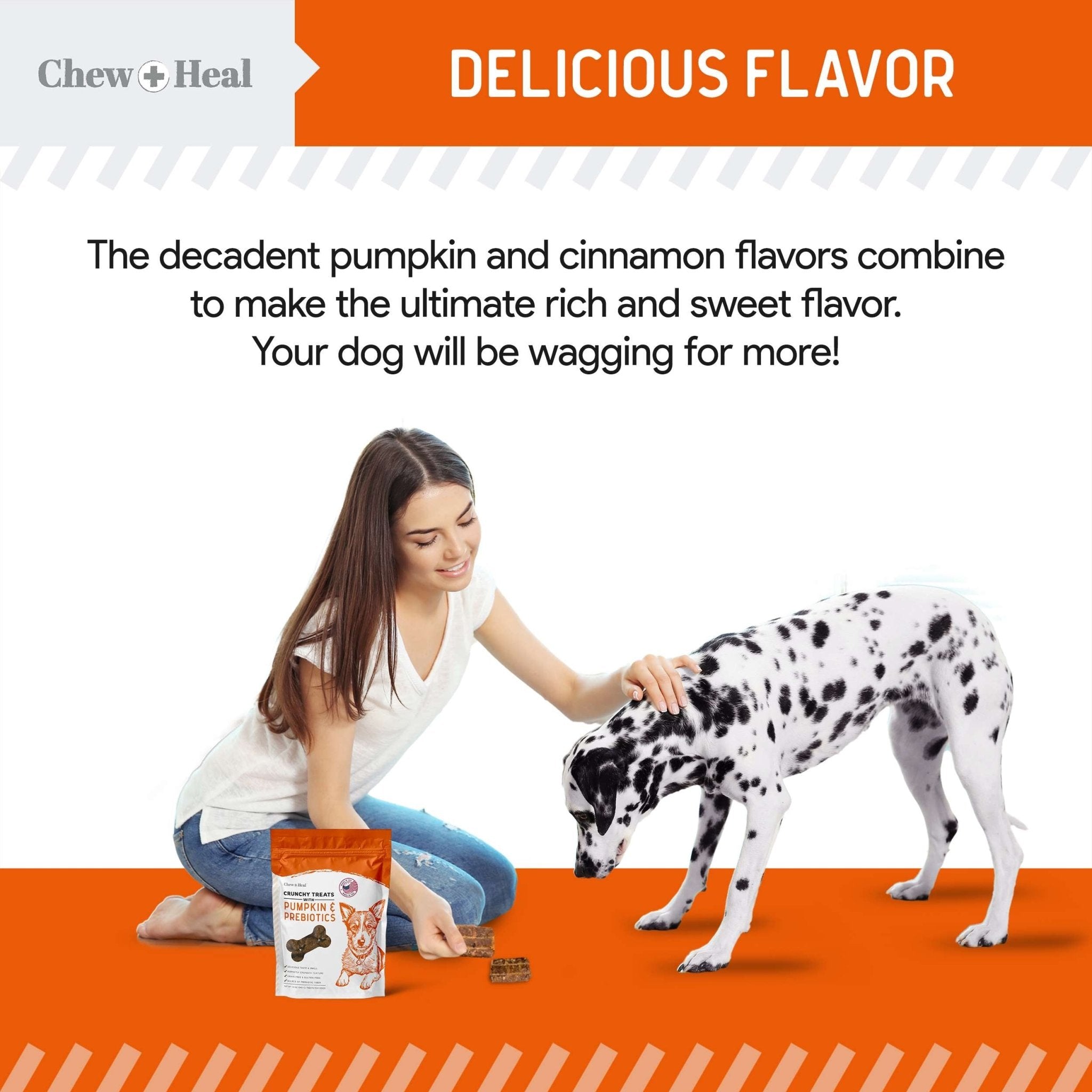 Pumpkin & Prebiotic Fiber Crunchy Biscuit Dog Treats - Eva Pet - Chew + Heal