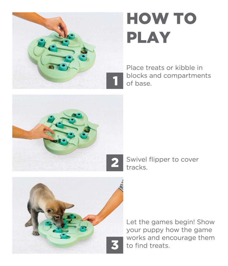 Puppy Hide N' Slide Interactive Treat Puzzle Dog Toy, Green - Eva Pet - Outward Hound