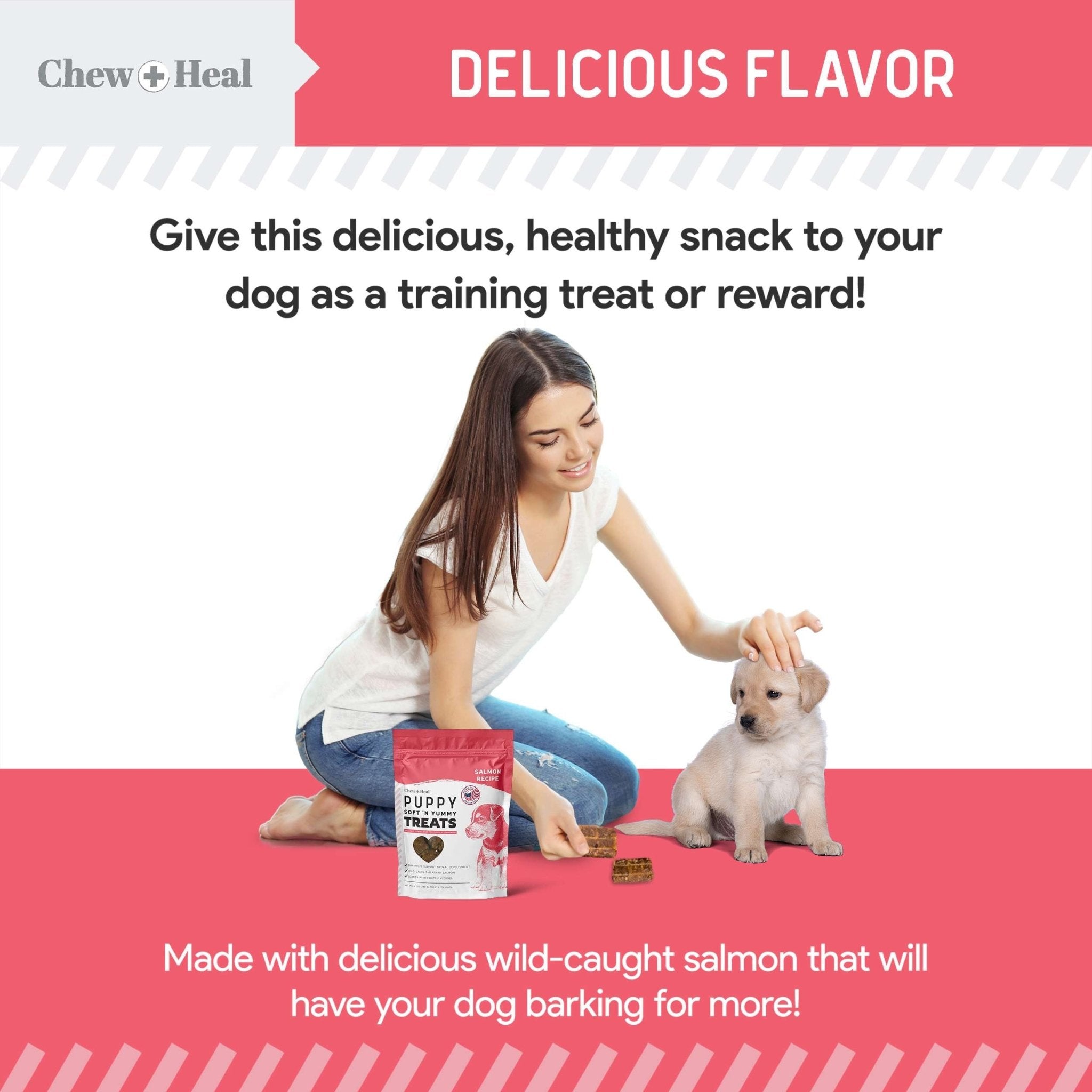 Puppy Soft 'N Yummy Wild Alaskan Salmon Limited Ingredient Jerky Dog Treats - Eva Pet - Chew + Heal