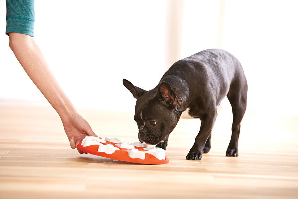 Dog Smart Interactive Treat Puzzle Dog Toy, Orange