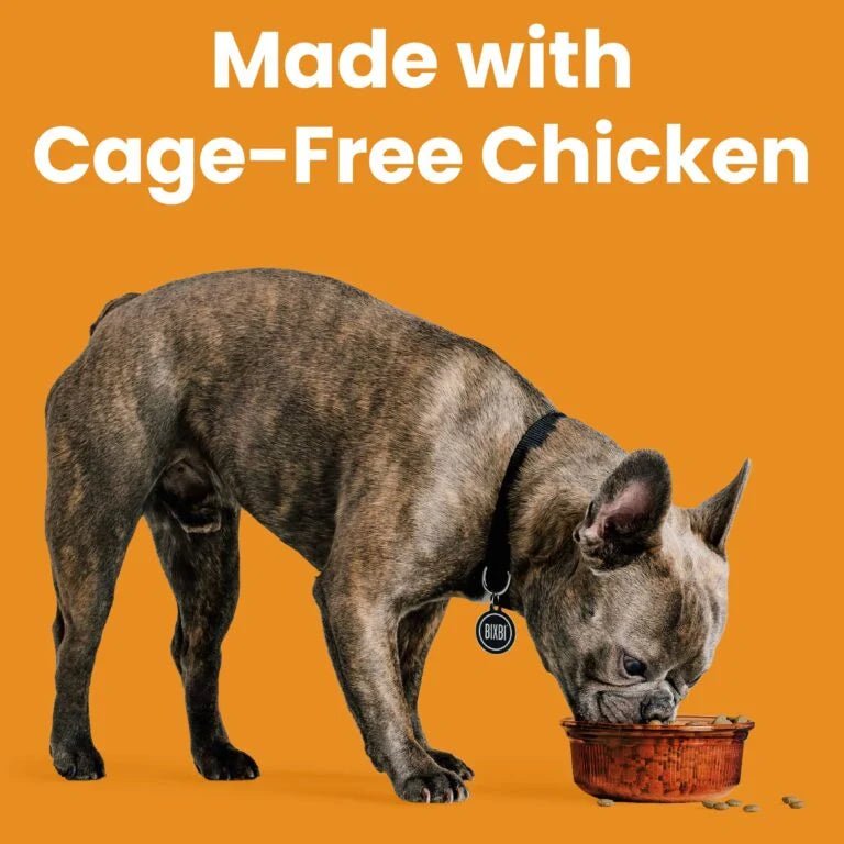 Rawbble® Dry Food for Dogs – Chicken Recipe - Eva Pet - Bixbi