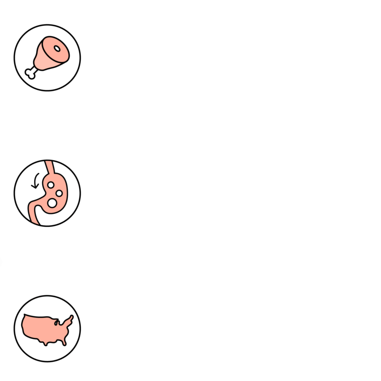 Rawbble® Freeze - Dried Food for Dogs – Beef Recipe - Eva Pet - Eva Pet
