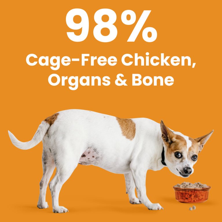 Rawbble® Freeze - Dried Food for Dogs – Chicken Recipe - Eva Pet - Bixbi