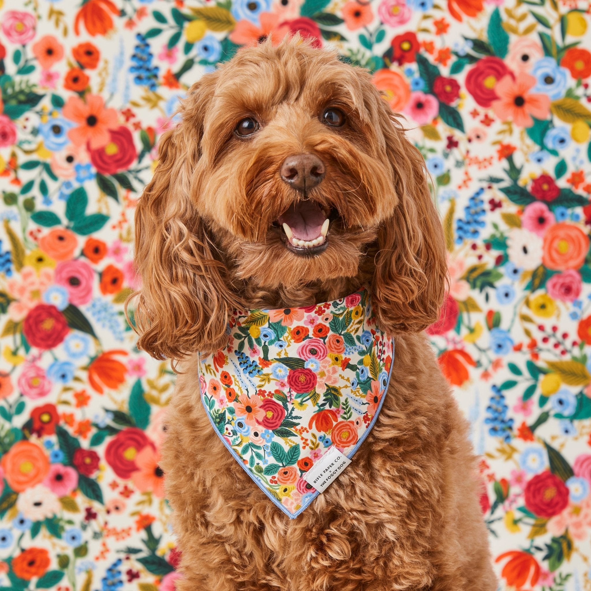 Rifle Paper Co. x TFD Garden Party Dog Bandana - Eva Pet - The Foggy Dog