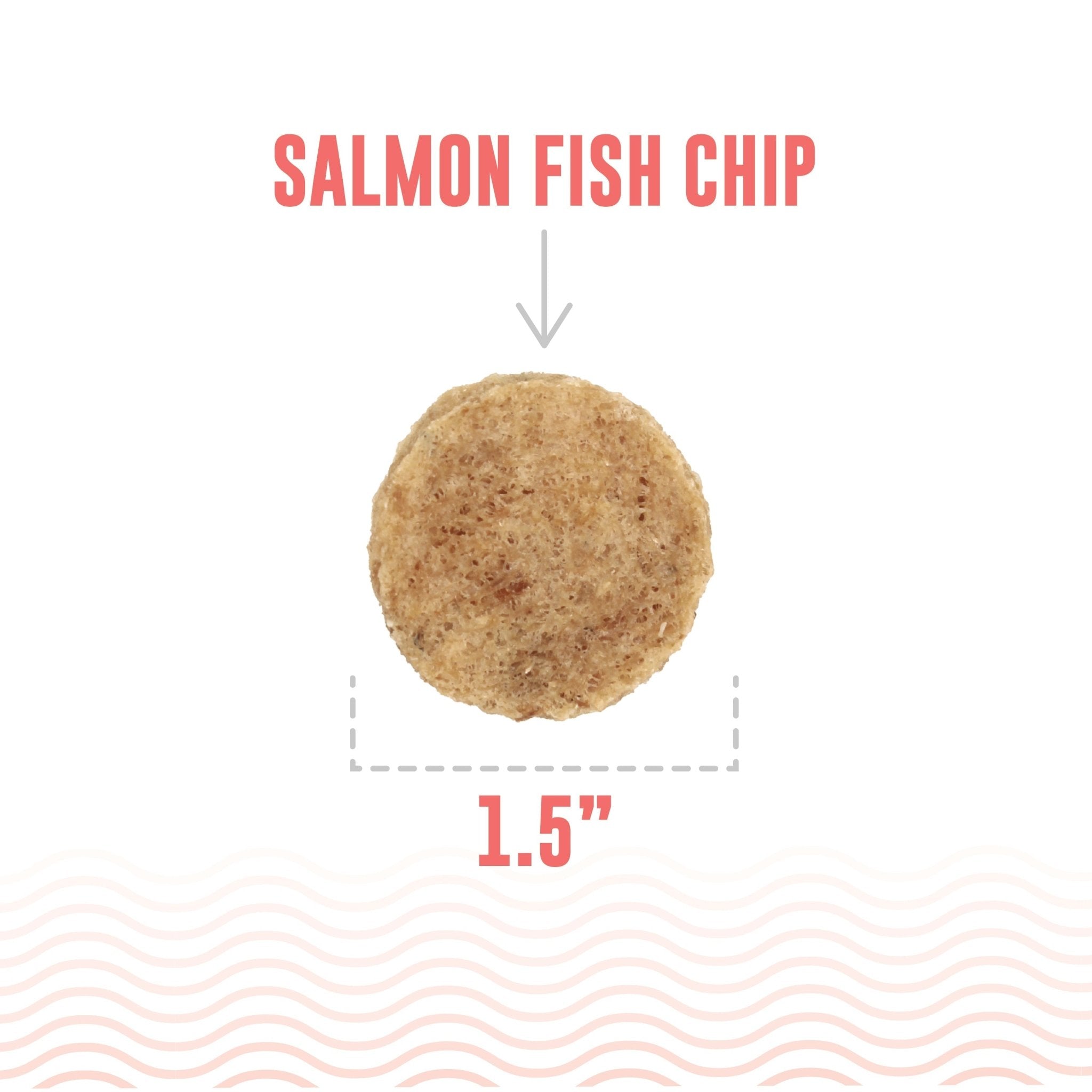 Salmon Fish Chips Dog Treats - Eva Pet - Icelandic+