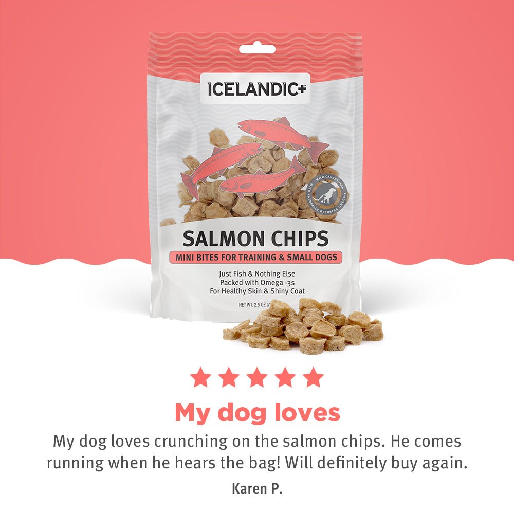 Salmon Mini Fish Chips Dog Treats - Eva Pet - Icelandic+