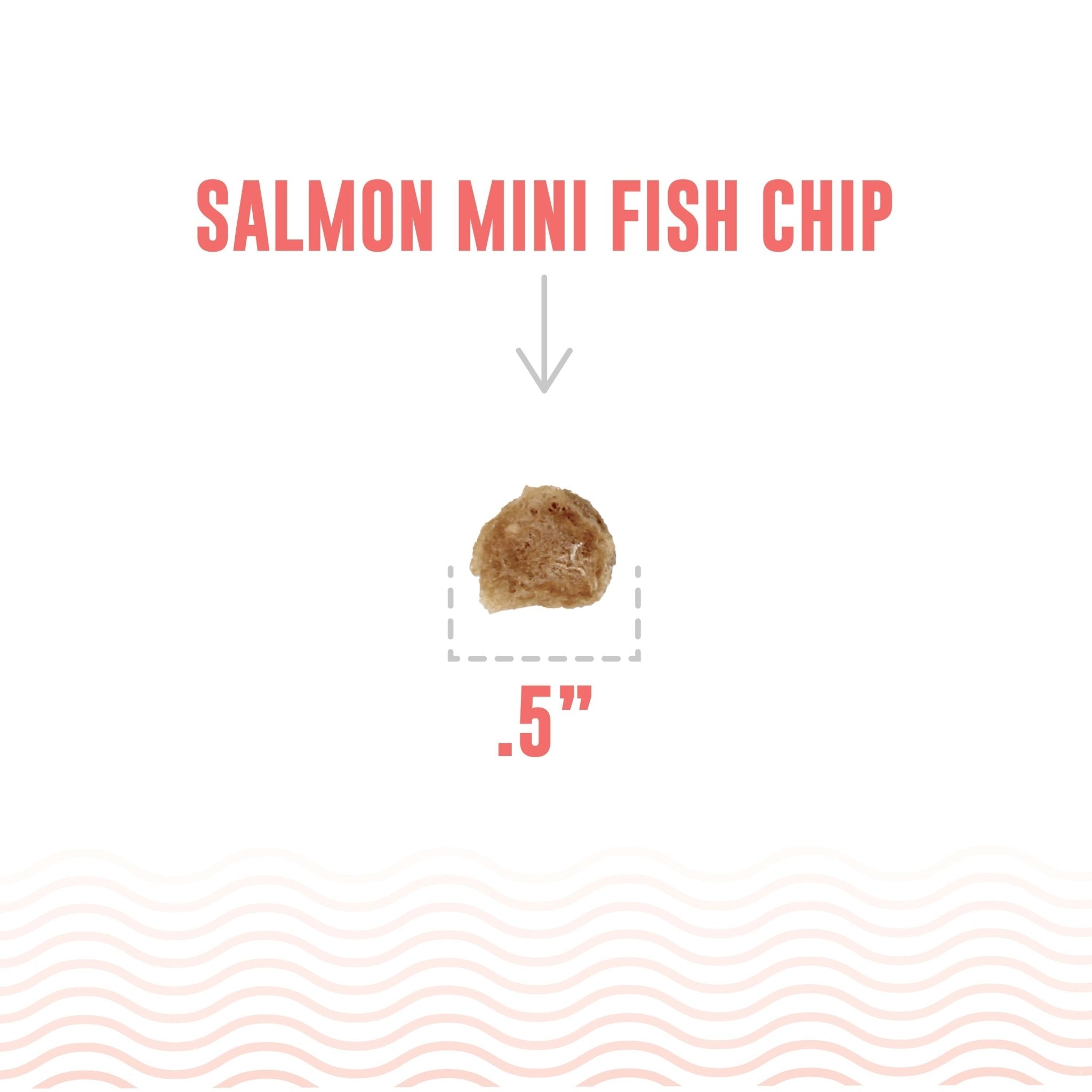 Salmon Mini Fish Chips Dog Treats - Eva Pet - Icelandic+