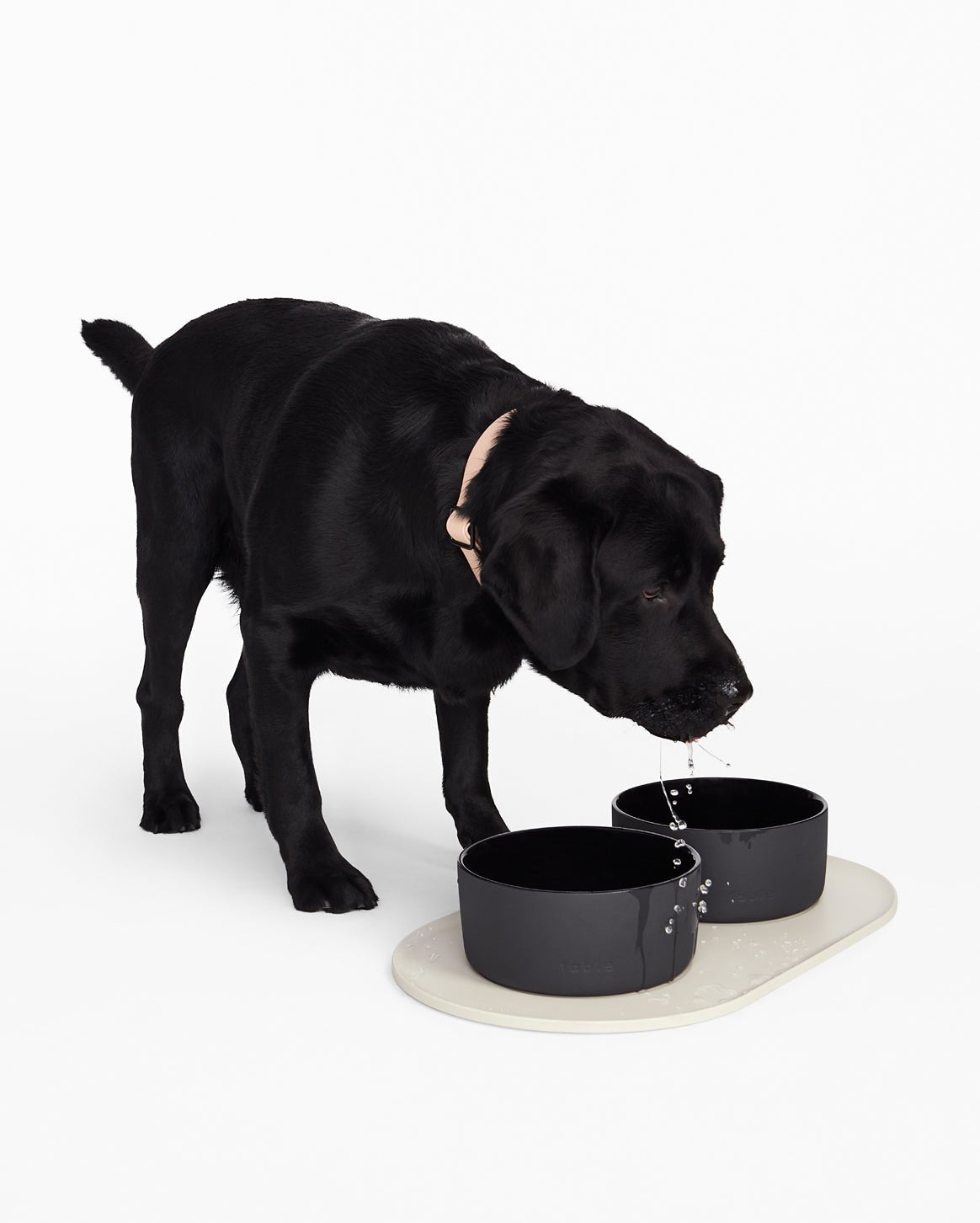 Signature Bowl Mat - Eva Pet - Fable Pets