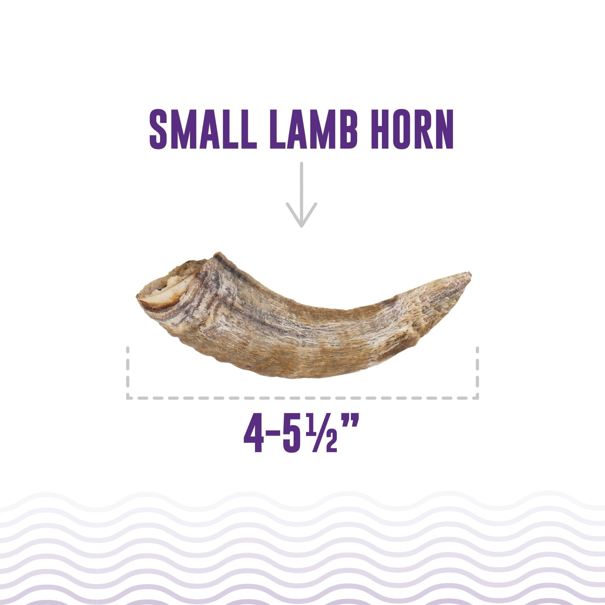 Small Lamb Horn with Marrow Dog Chew - Eva Pet - Icelandic+