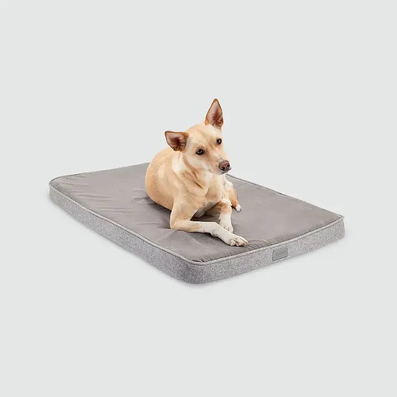 Snooz Revol Pad - Eva Pet - Diggs