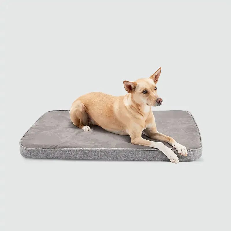Snooz Revol Pad - Eva Pet - Diggs
