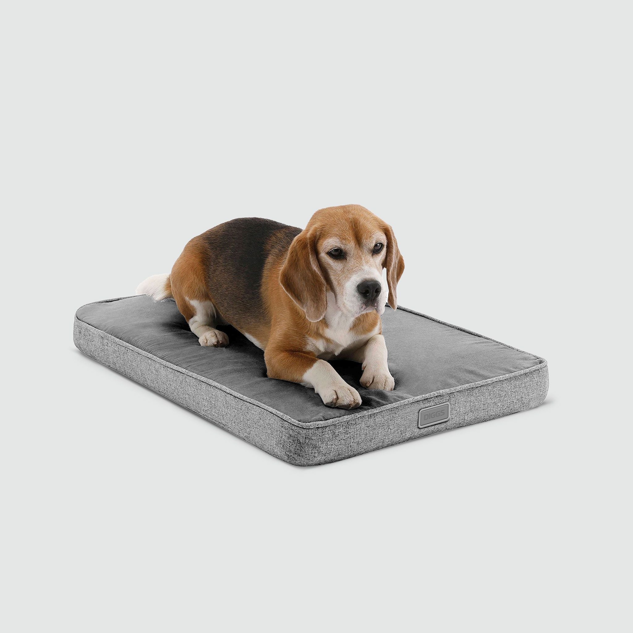 Snooz Revol Pad - Eva Pet - Diggs