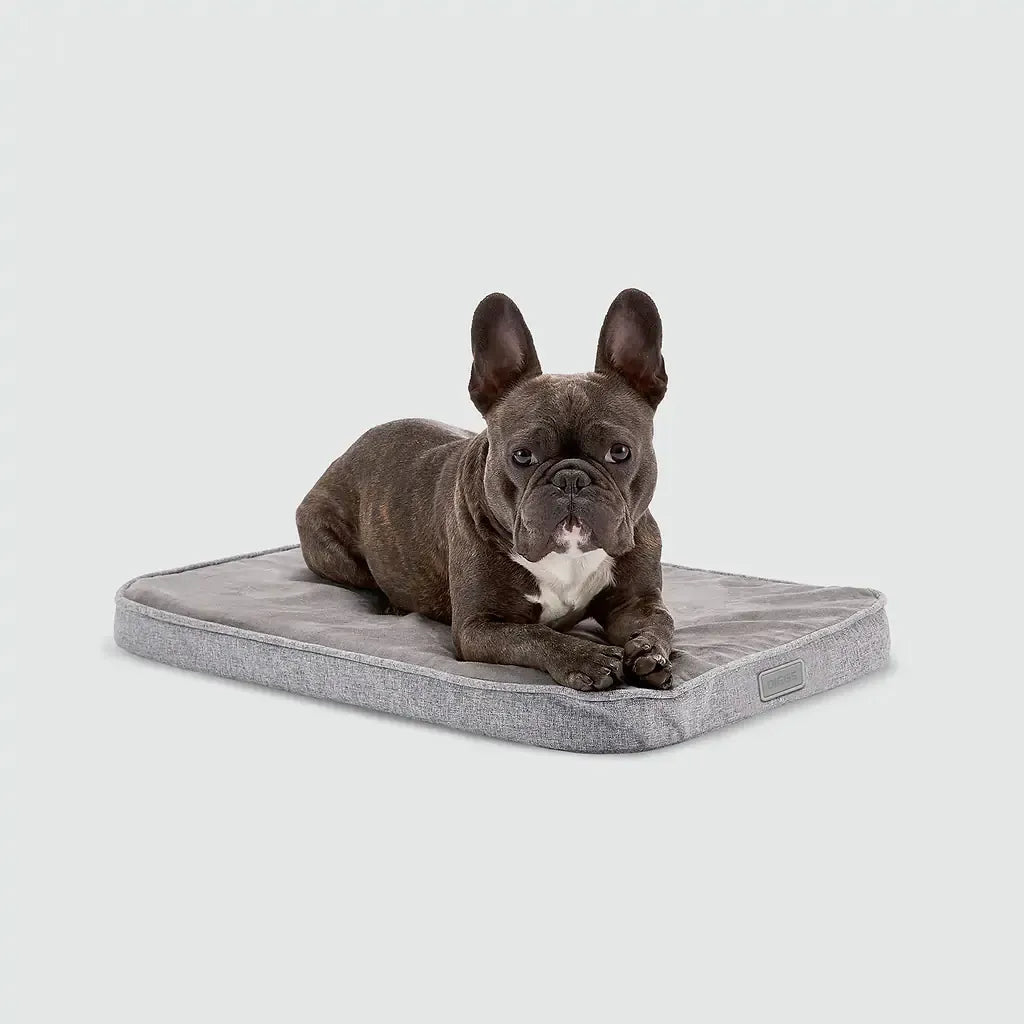Snooz Revol Pad - Eva Pet - Diggs