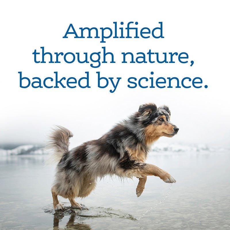 Soft Chew Mobility Supplement - Eva Pet - NutriSource