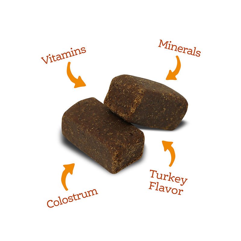 Soft Chew Multivitamin Supplement - Eva Pet - NutriSource