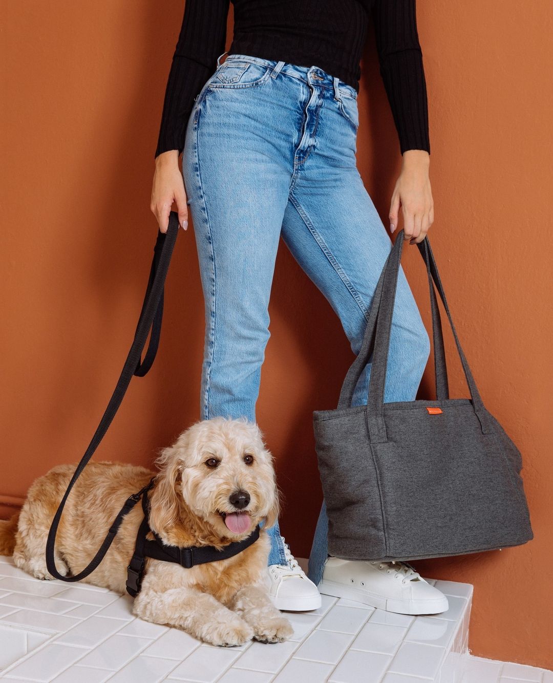 Soft Rock City Leash - Black - Eva Pet - mollyandstitchus