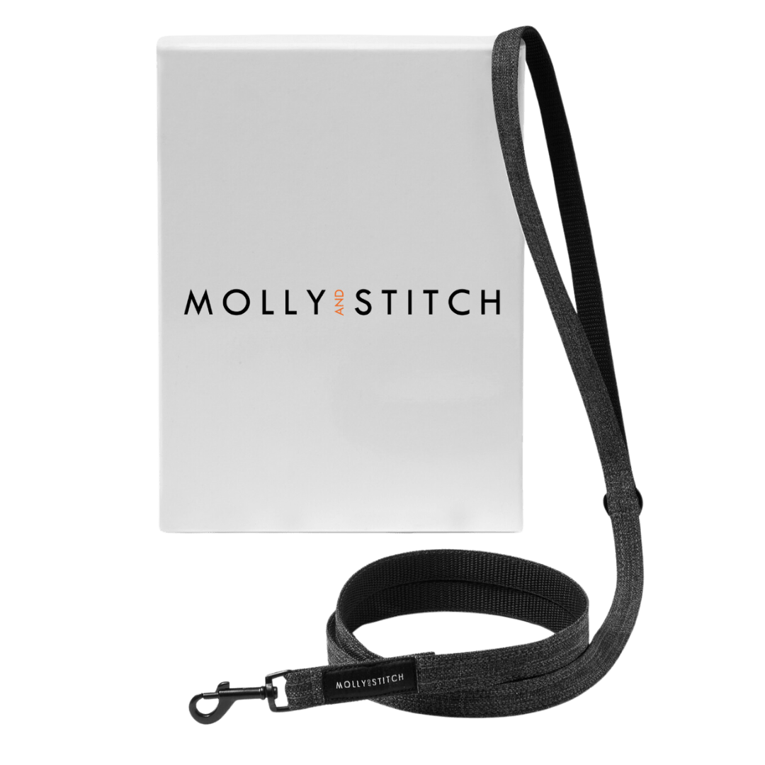 Soft Rock City Leash - Grey - Eva Pet - mollyandstitchus