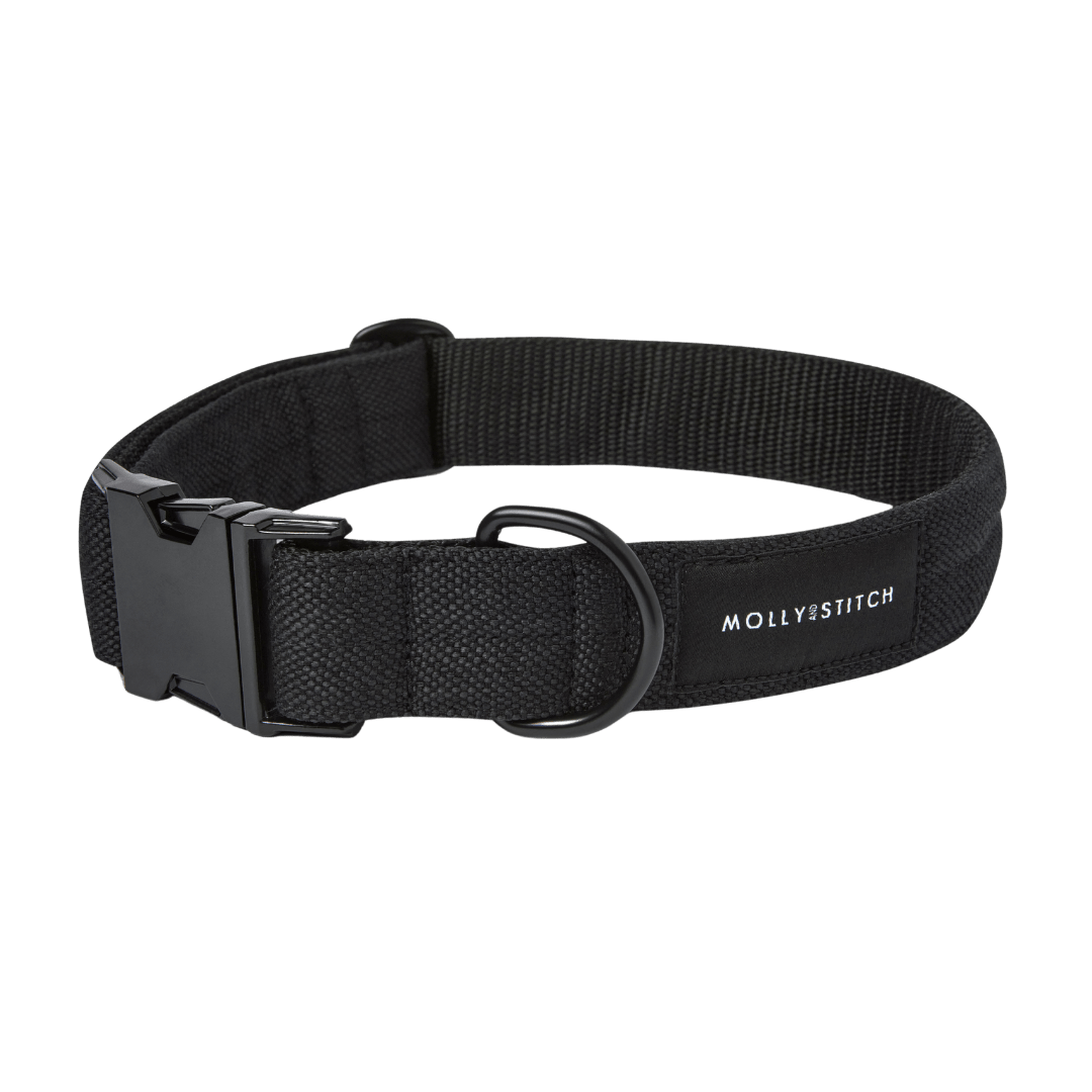 Soft Rock Collar - Black - Eva Pet - mollyandstitchus