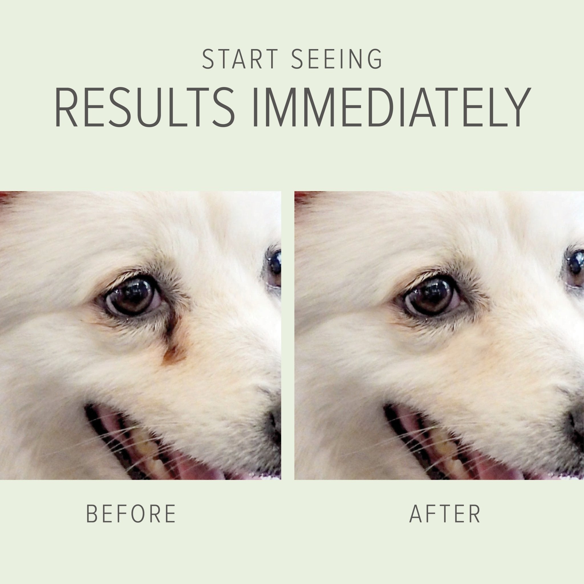 Tear Stain Removing Under Eye Wipes - Eva Pet - Pure and Natural Pet