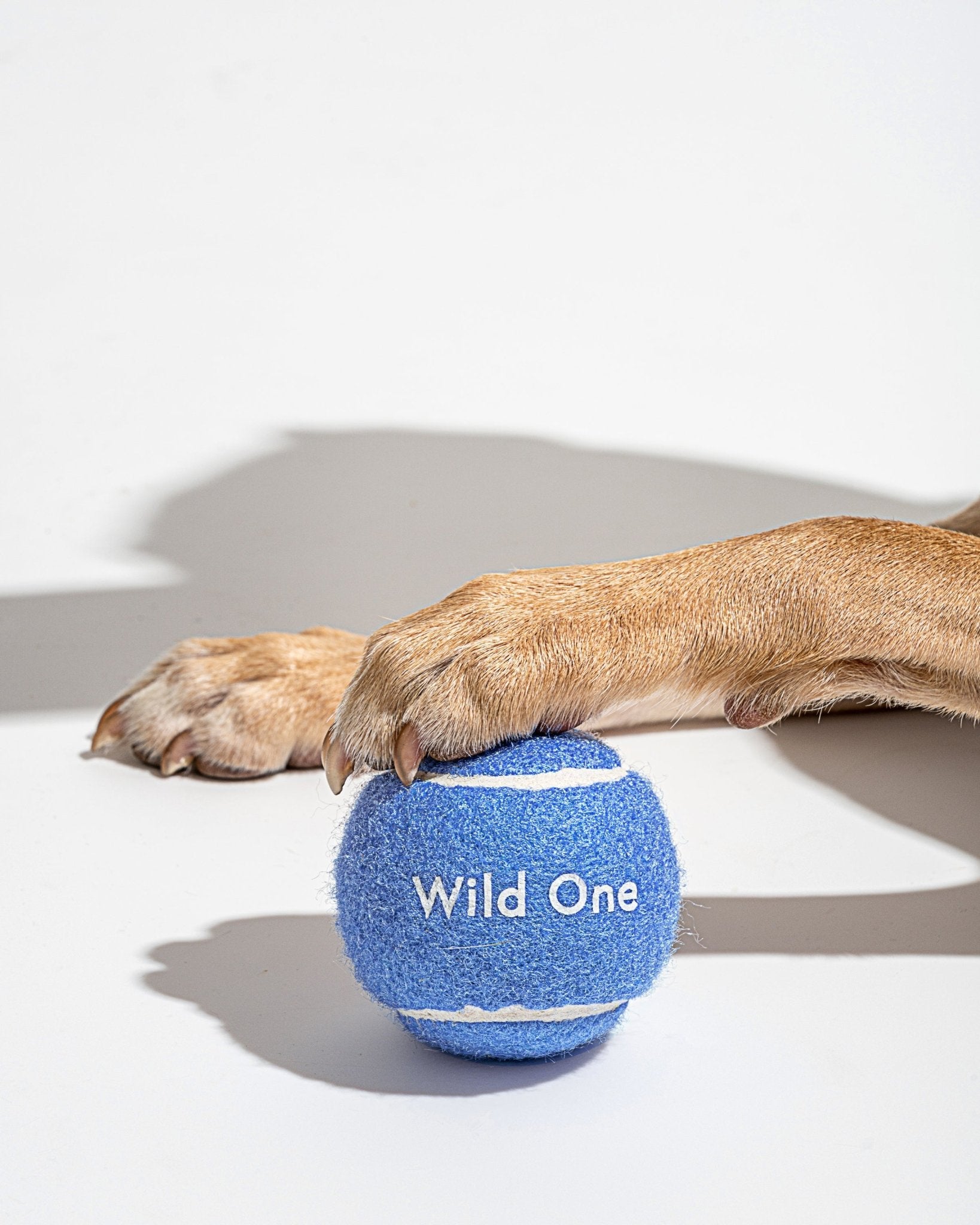 Tennis Balls - Eva Pet - Wild One