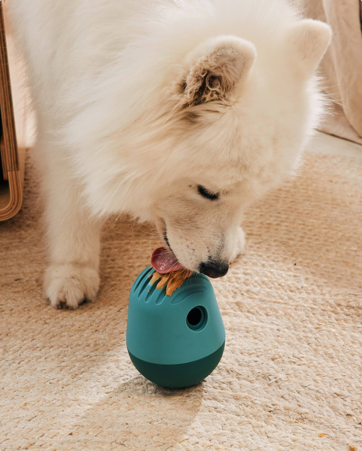 The Puffin™ Game - Eva Pet - Fable Pets