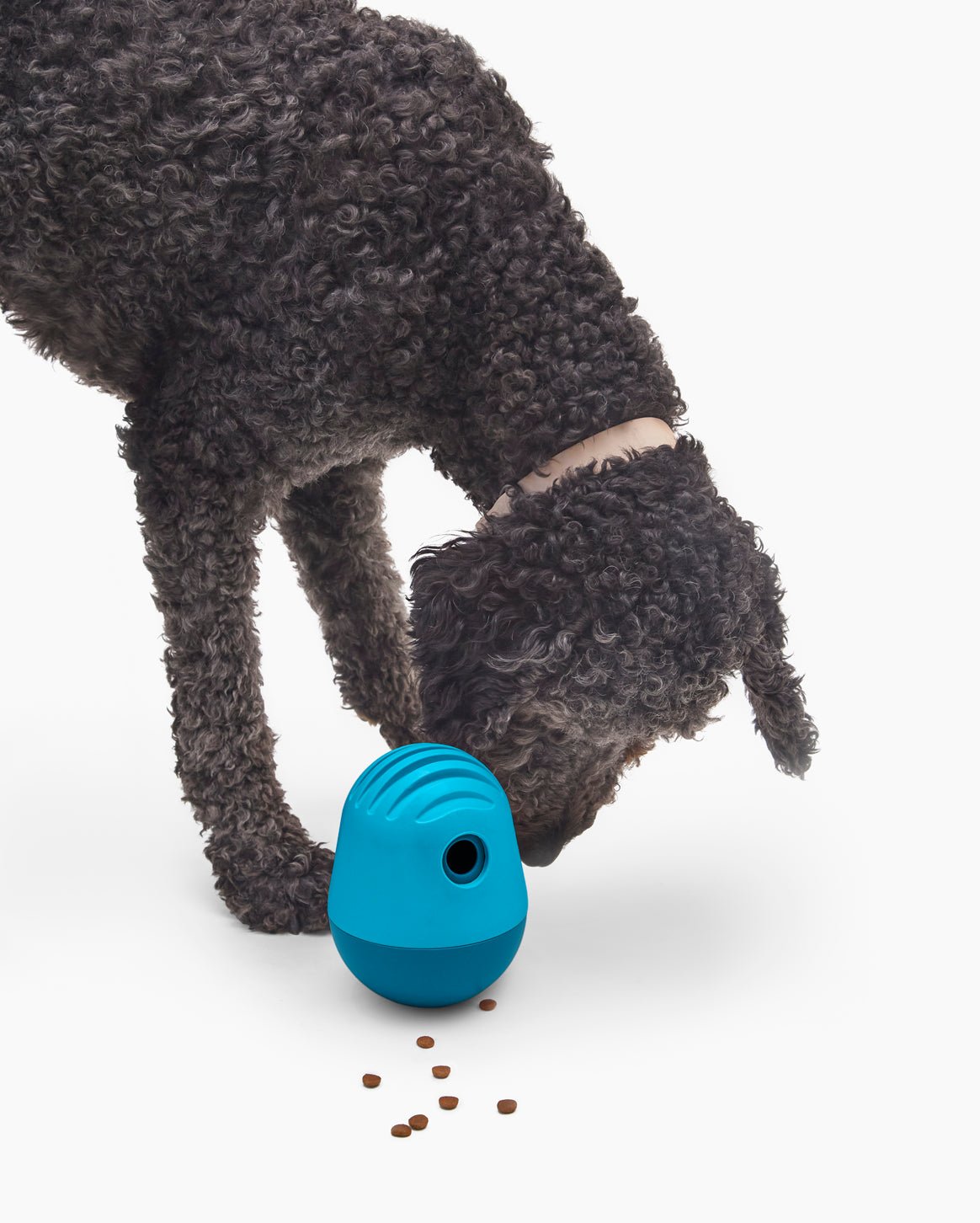 The Puffin™ Game - Eva Pet - Fable Pets