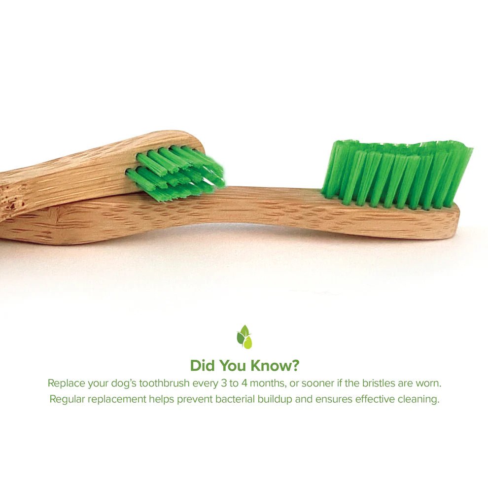 Tooth Gel and Bamboo Toothbrush for Small Dogs - Organic Dental Solutions® - Eva Pet - Eva Pet