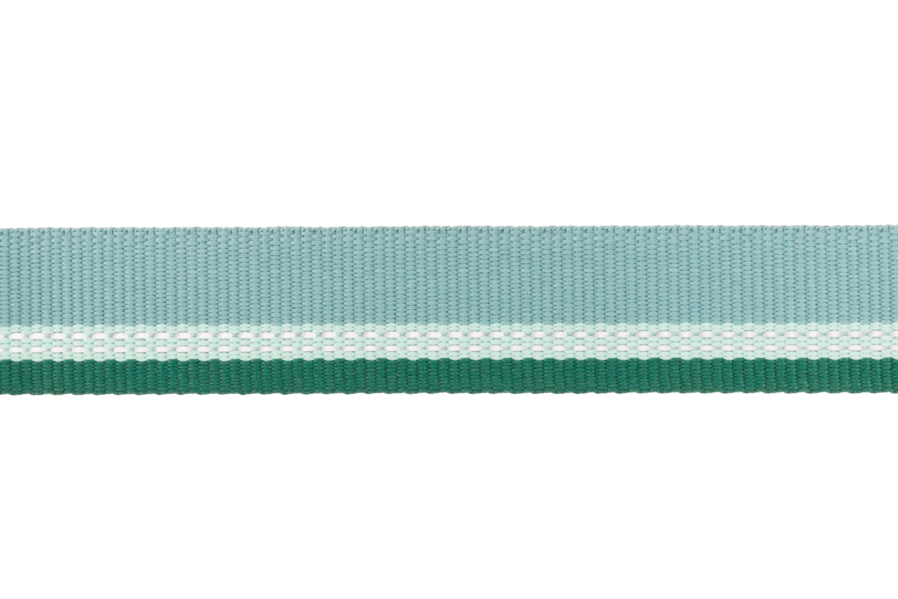 Top Rope™ Metal Buckle Dog Collar - Eva Pet - Ruff Wear Inc.