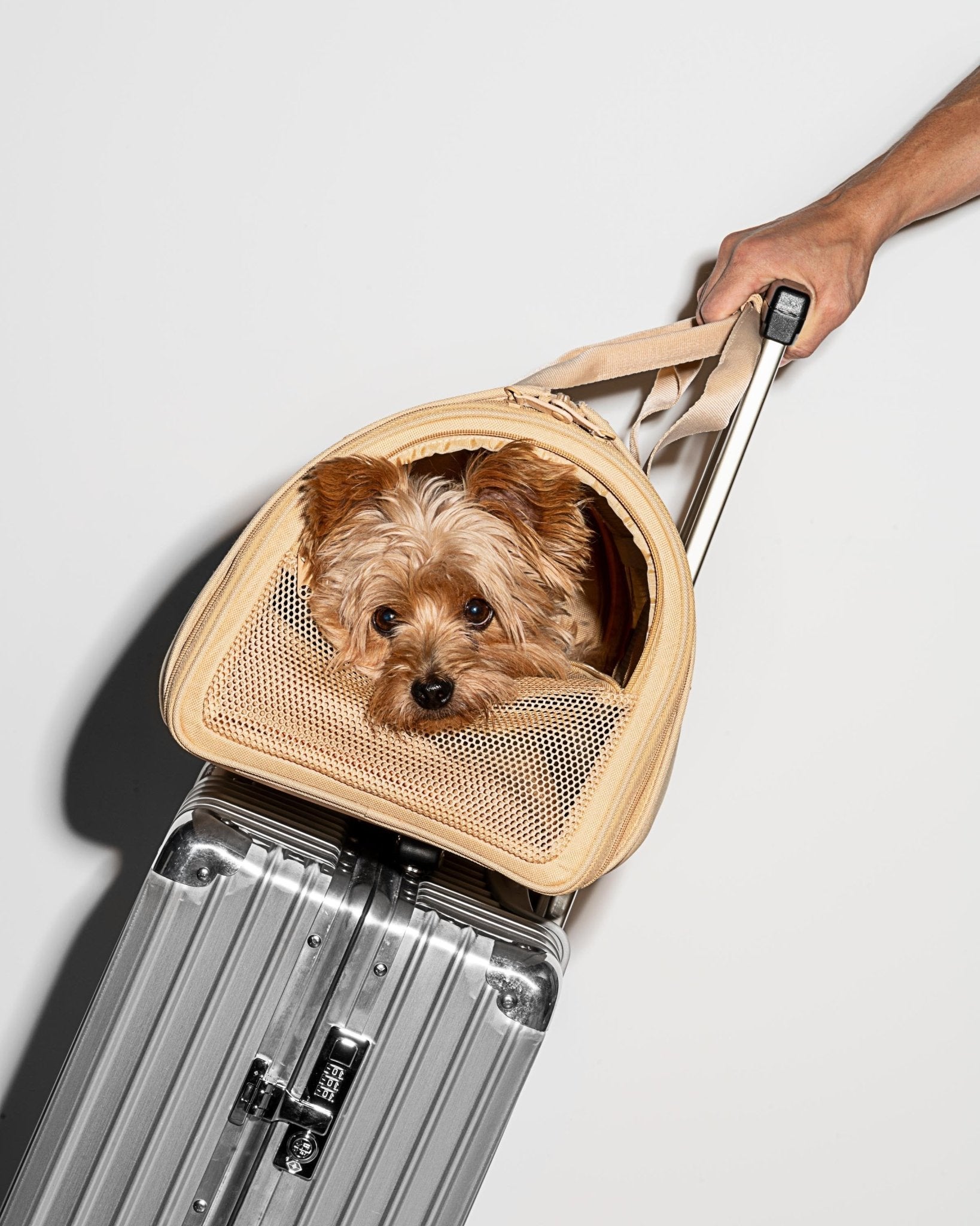 Travel Carrier - Eva Pet - Wild One