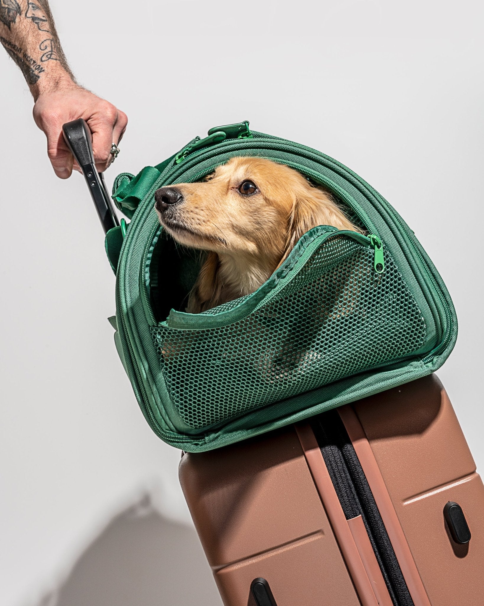 Travel Carrier - Eva Pet