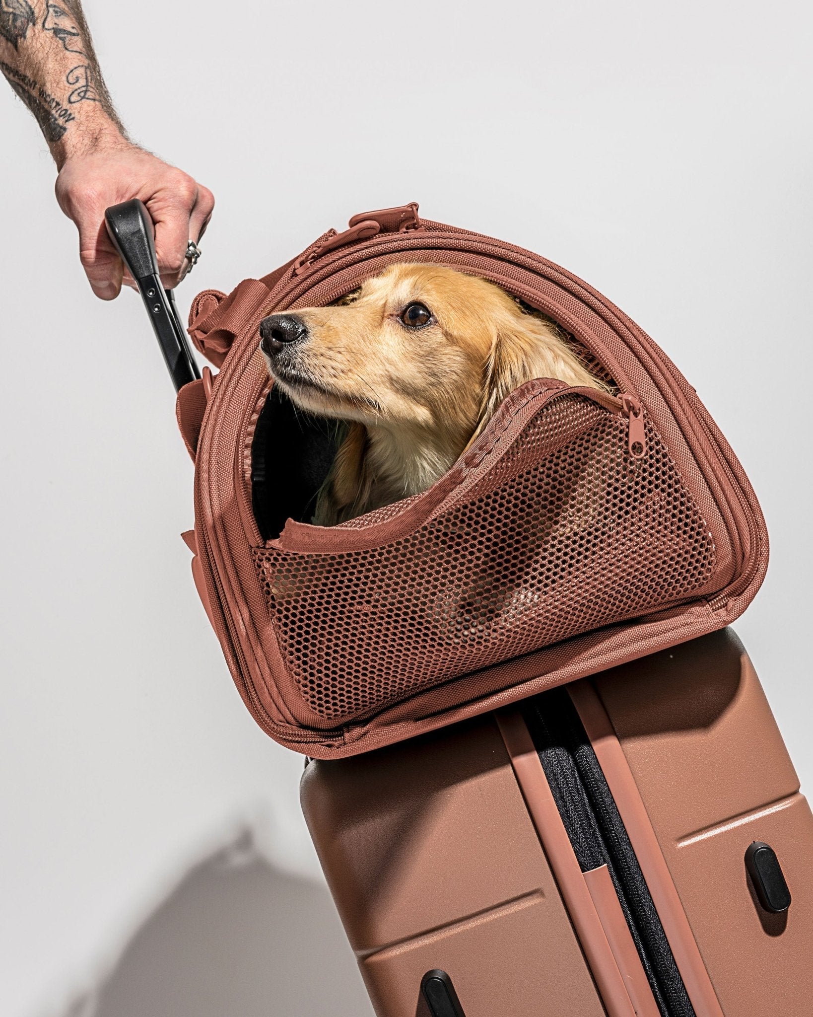 Travel Carrier - Eva Pet - Wild One