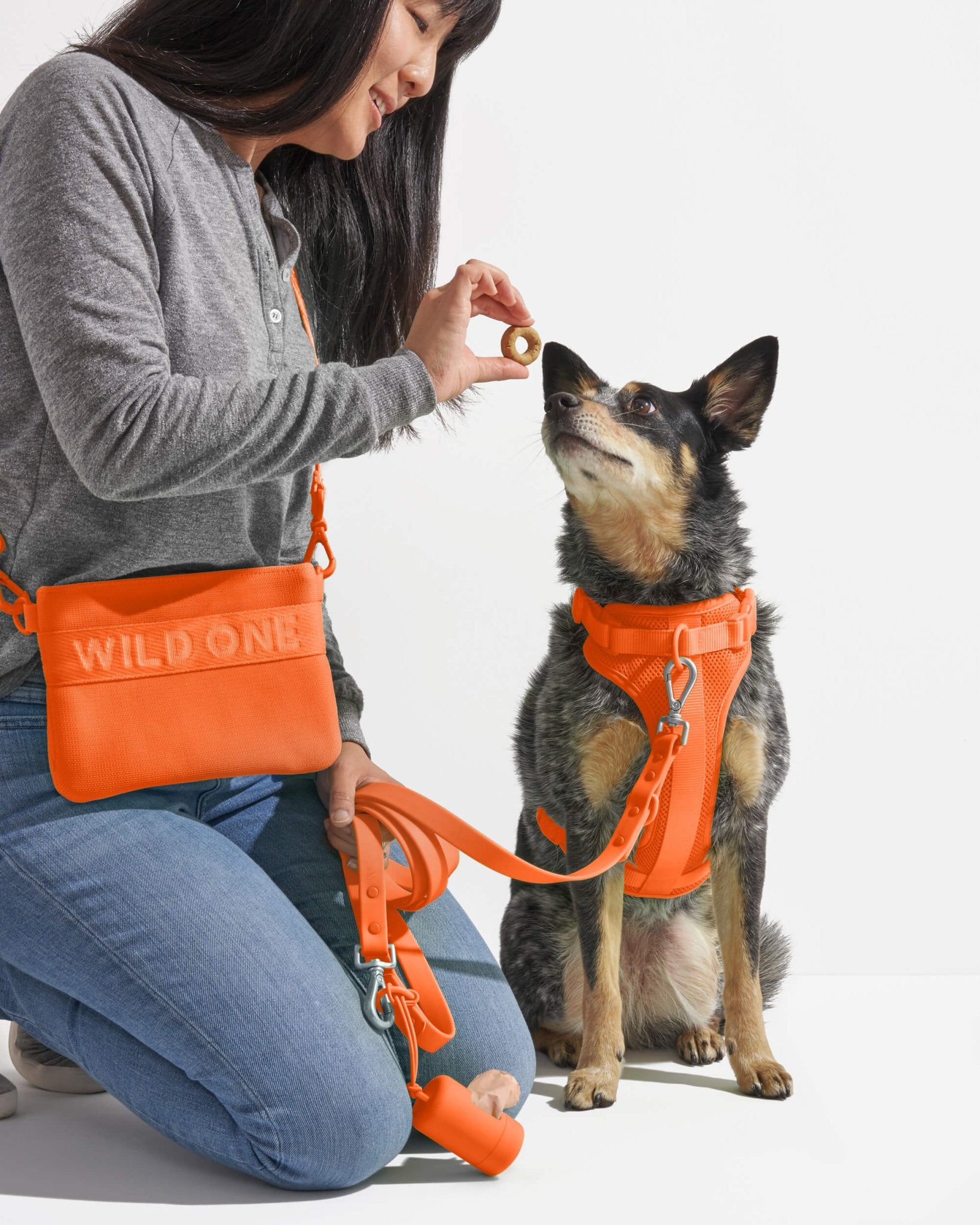 Treat Pouch - Eva Pet - Wild One
