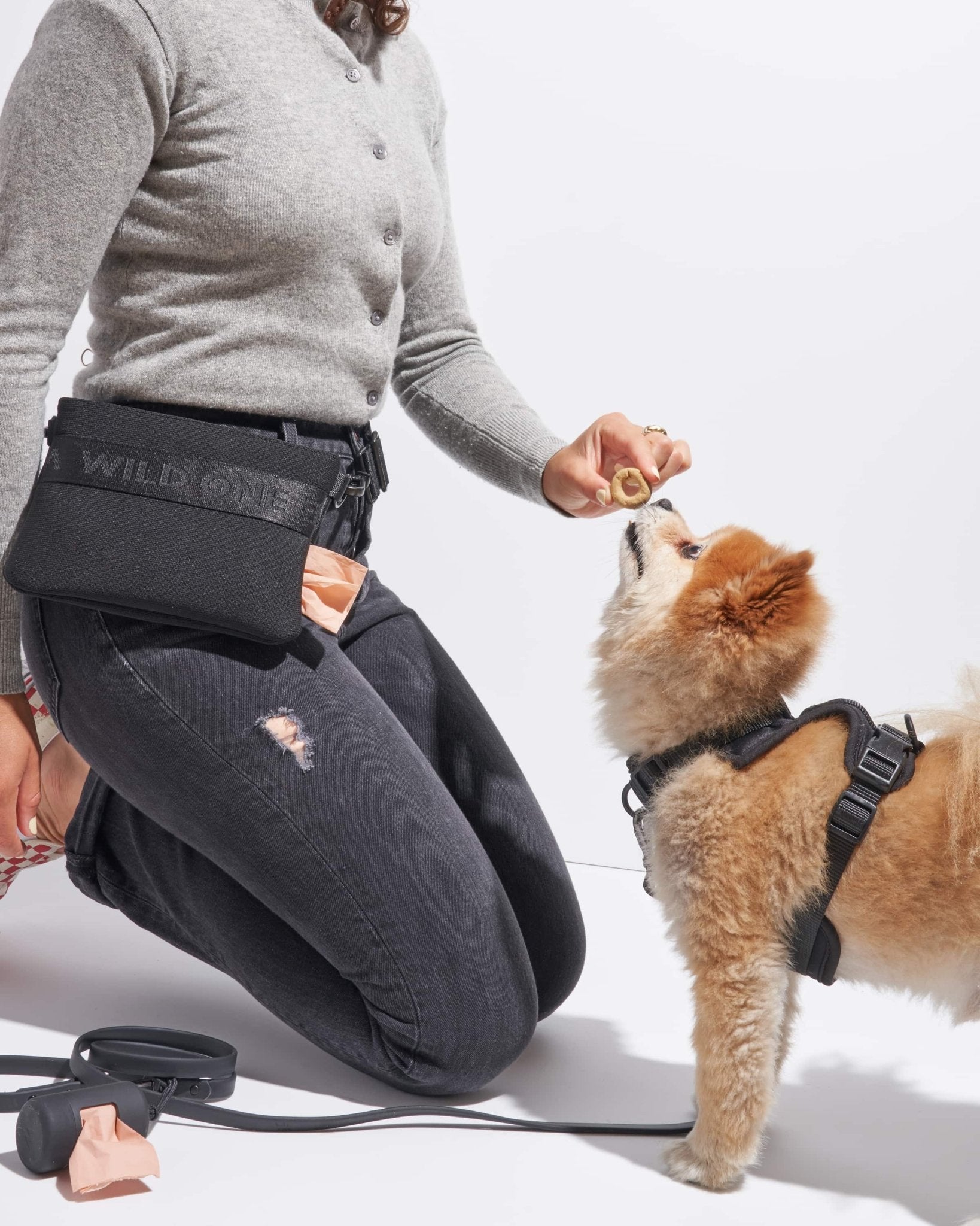 Treat Pouch - Eva Pet - Wild One