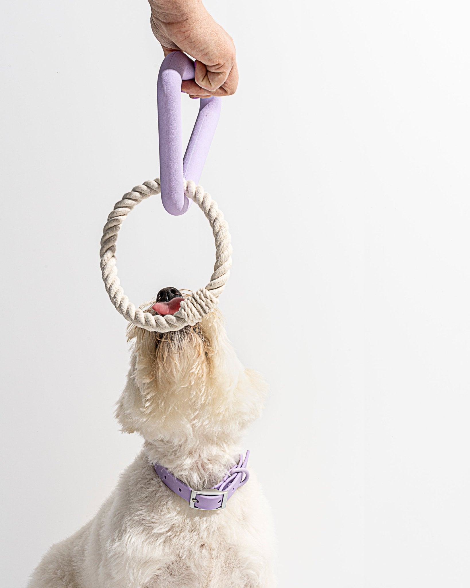 Triangle Tug - Eva Pet - Wild One