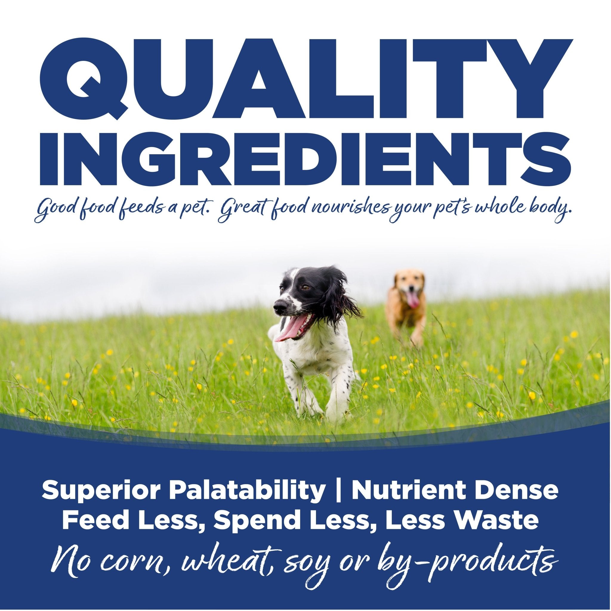 Trout & Rice - Eva Pet - NutriSource