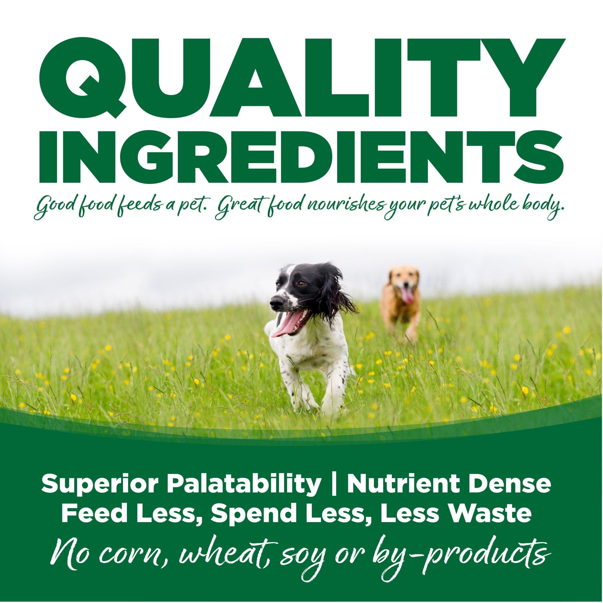 Turkey & Rice - Eva Pet - NutriSource