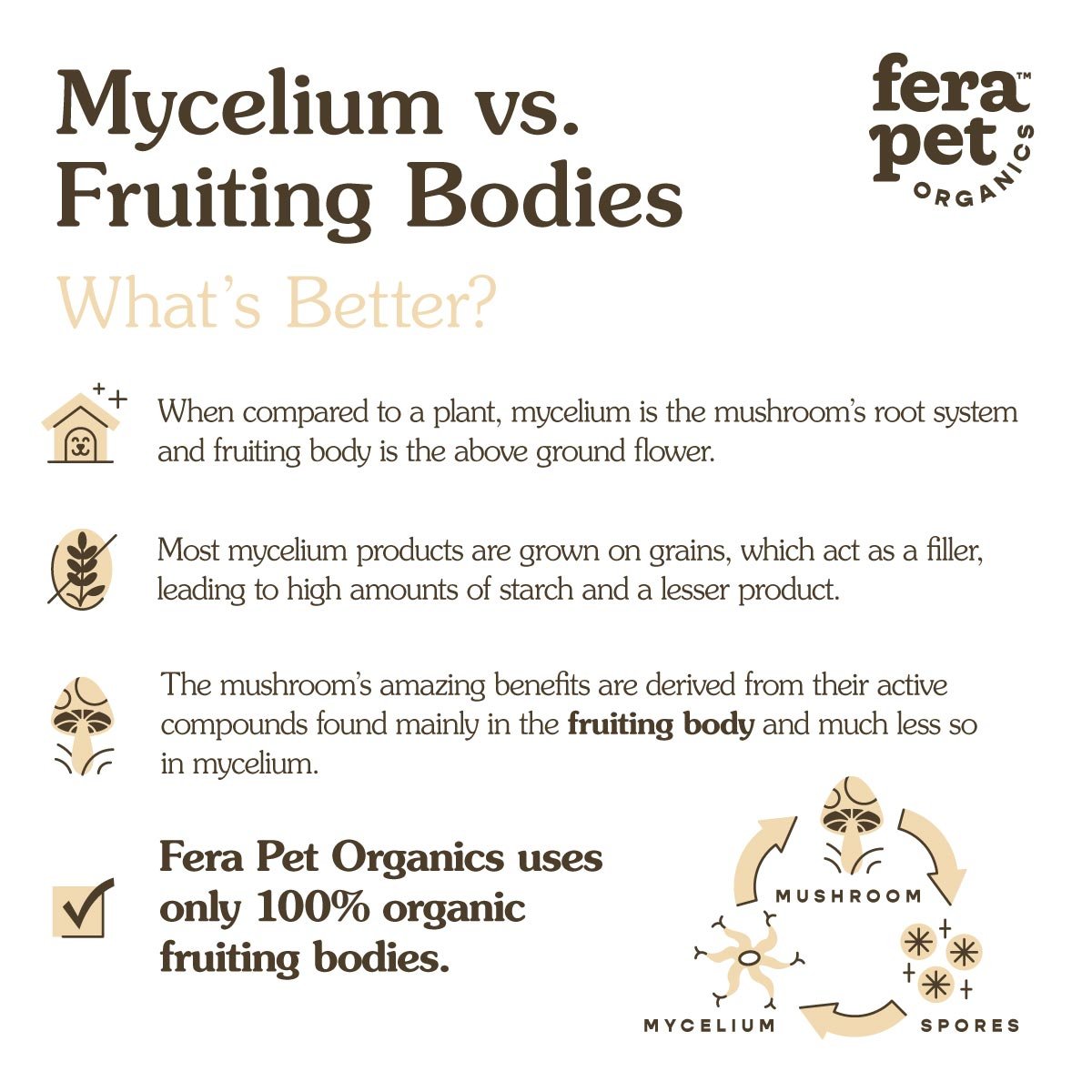 USDA Organic Mushroom Blend for Immune Support - Eva Pet - Fera Pet Organics
