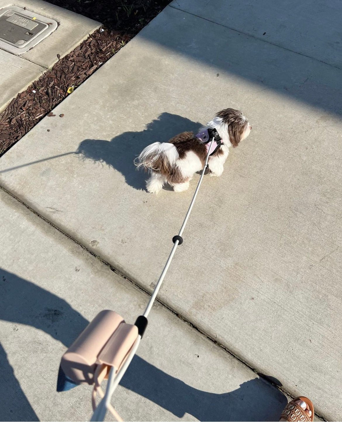 Waste Bag Holder - Eva Pet - Fable Pets
