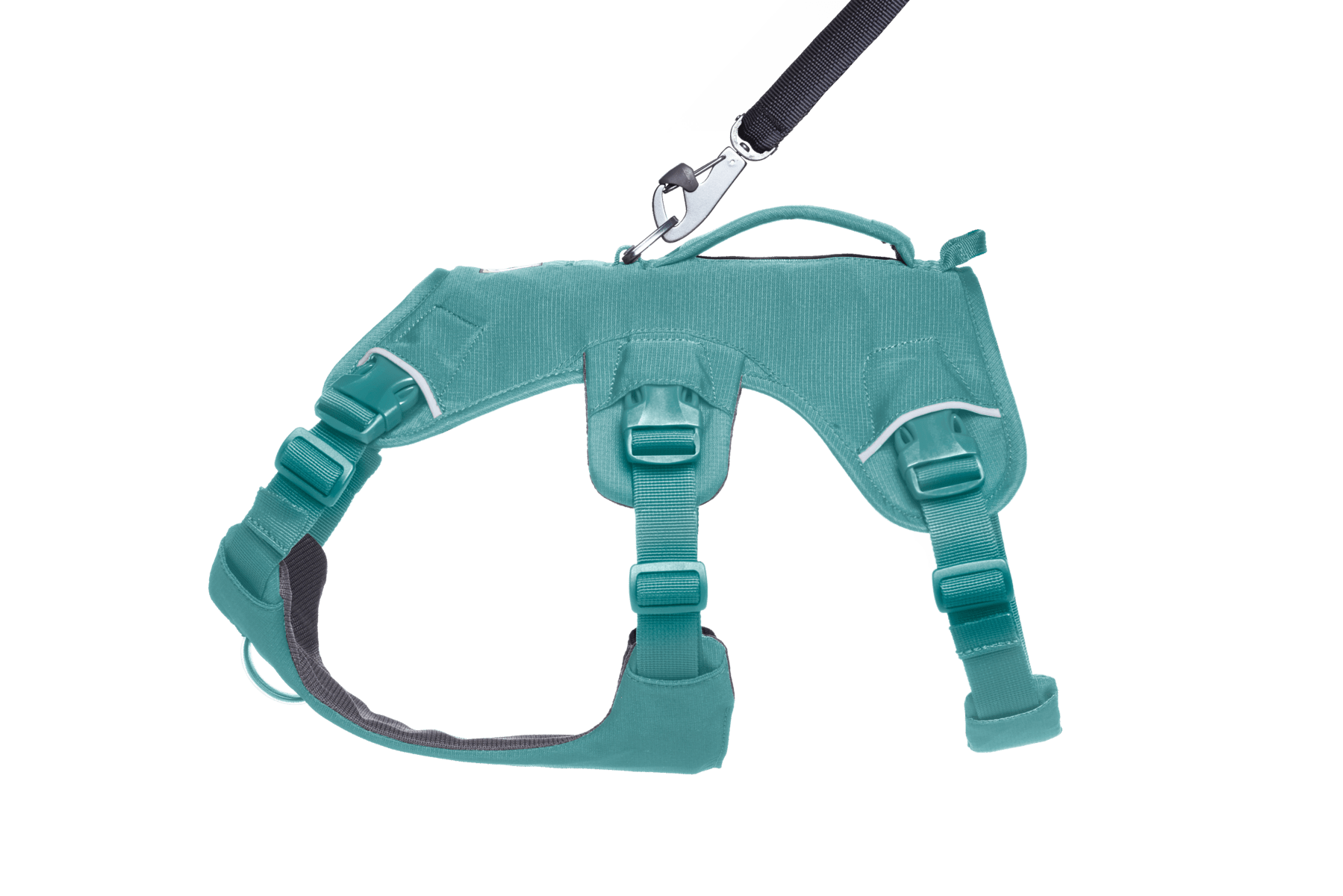 Web Master™ Dog Harness with Handle - Eva Pet - Ruff Wear Inc.