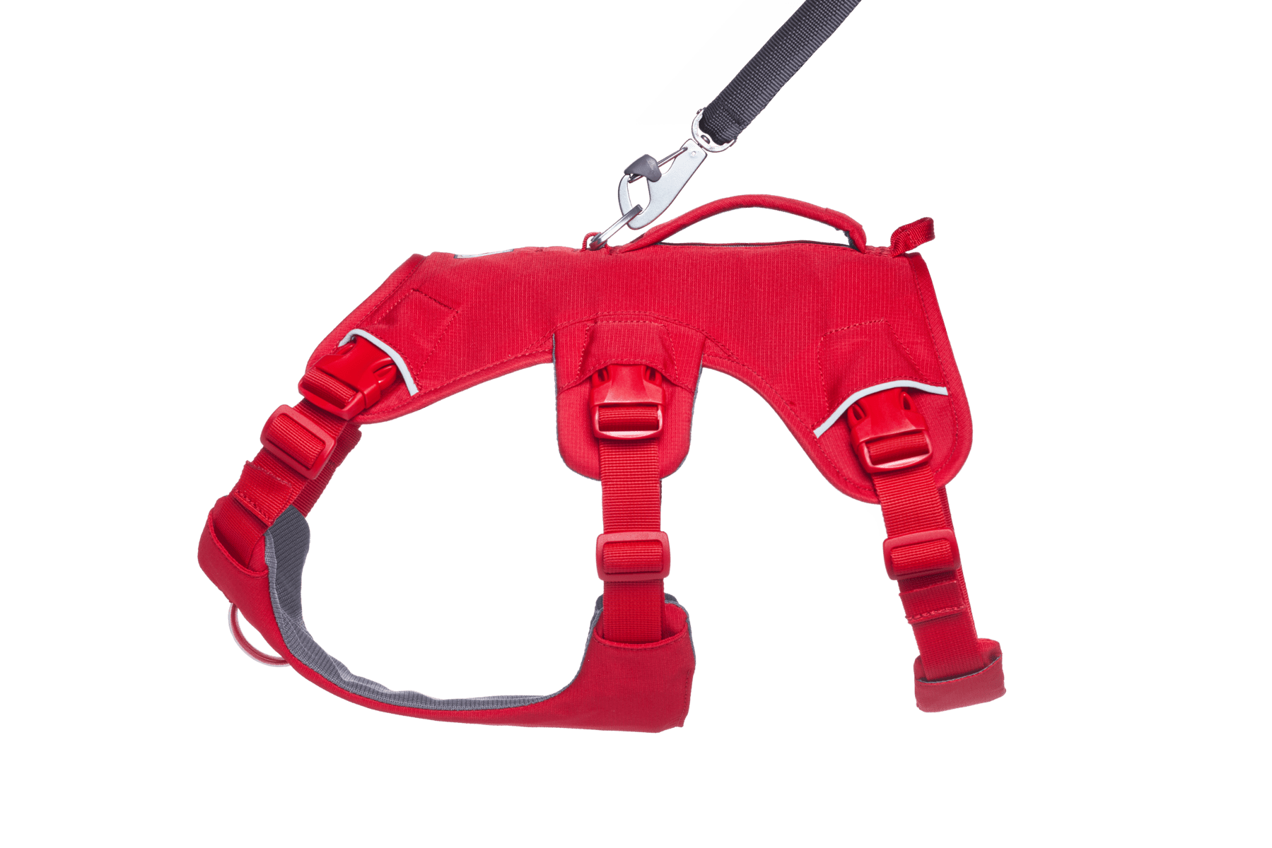 Web Master™ Dog Harness with Handle - Eva Pet - Ruff Wear Inc.